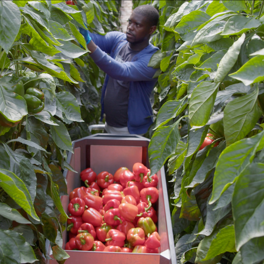 A Relationship of Seven Years - Farm and GrowLiv