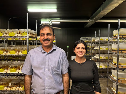 CBC News Features GrowLiv Biologicals as North America’s Largest Bug Breeding Farm Supporting Sustainable Agriculture