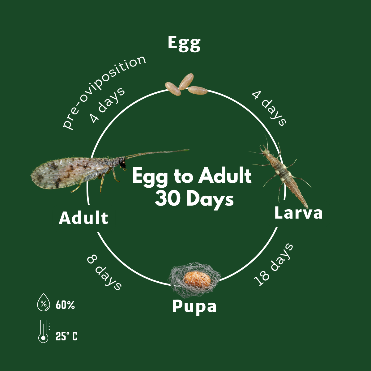 MicromuLiv
