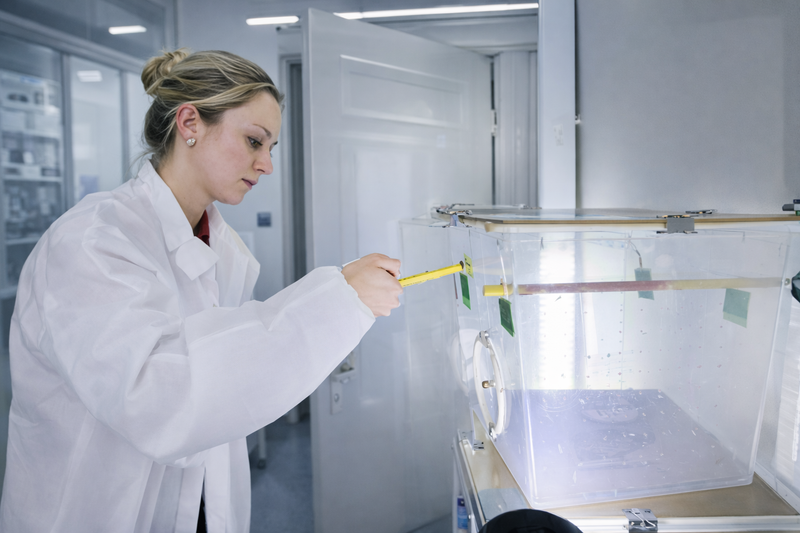 A GrowLiv team member working with insect-rearing enclosures