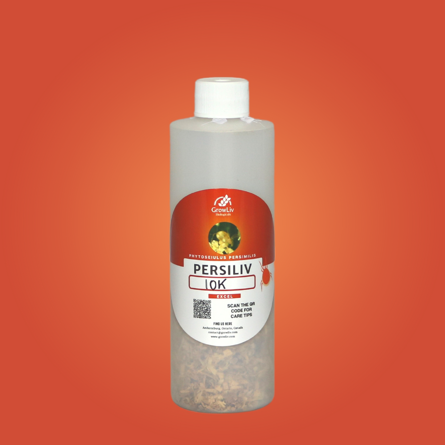 PersiLiv Excel
